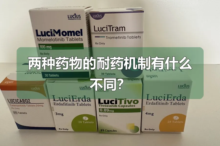 两种药物的耐药机制有什么不同?